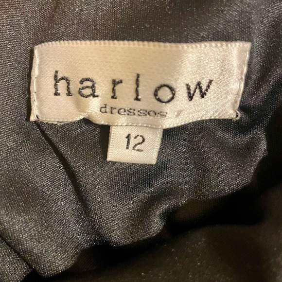 Mesh Dress - Picture 3 of 4